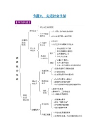 中考道德与法治三轮冲刺 知识点梳理与冲刺练习专题09 走进社会生活 (含详解)