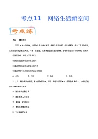 中考道德与法治二轮复习专题练习考点11  网络生活新空间（考点专练） (含答案)