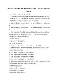 2022-2023学年陕西省渭南市韩城市七年级（下）期中道德与法治试卷（含解析）