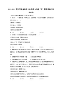 2022-2023学年河南省洛阳市洛宁县七年级（下）期中道德与法治试卷（含解析）