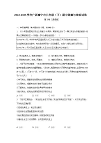 2022-2023学年广西南宁市八年级(下)期中道德与法治试卷(含解析)