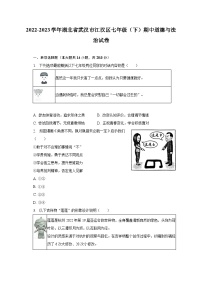 2022-2023学年湖北省武汉市江汉区七年级（下）期中道德与法治试卷（含解析）