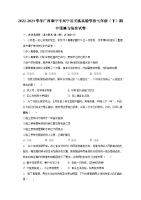 2022-2023学年广西南宁市兴宁区天桃实验学校七年级（下）期中道德与法治试卷（含解析）