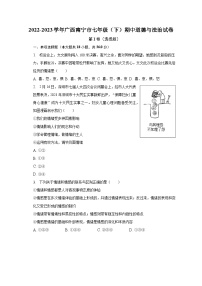 2022-2023学年广西南宁市七年级（下）期中道德与法治试卷（含解析）