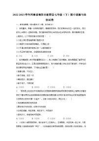 2022-2023学年河南省南阳市新野县七年级（下）期中道德与法治试卷（含解析）