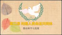 人教部编版九年级下册推动和平与发展课文ppt课件