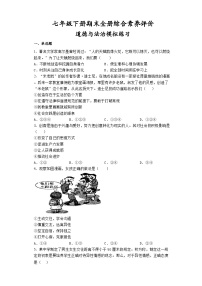 期末全册综合素养评价试题-2022-2023学年部编版道德与法治七年级下册