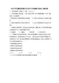 2023年安徽省芜湖市无为市中考道德与法治三模试卷(含解析)