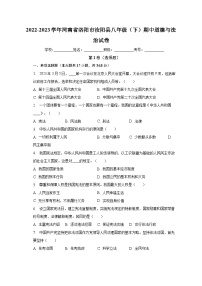 2022-2023学年河南省洛阳市汝阳县八年级（下）期中道德与法治试卷（含解析）