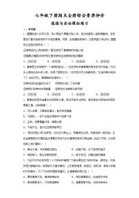 期末全册综合素养评价试题-2022-2023学年部编版道德与法治七年级下册