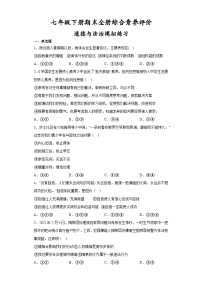 期末全册综合素养评价试题-2022-2023学年部编版道德与法治七年级下册