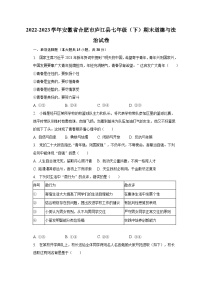 2022-2023学年安徽省合肥市庐江县七年级（下）期末道德与法治试卷（含解析）