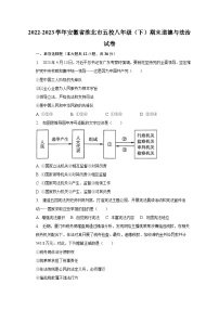 安徽省淮北市五校+2022-2023学年八年级下学期期末道德与法治试卷（含答案）