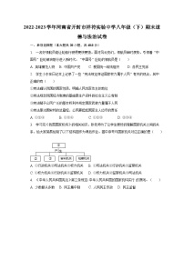 2022-2023学年河南省开封市祥符实验中学八年级（下）期末道德与法治试卷（含解析）