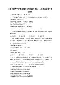 2022-2023学年广东省湛江市坡头区八年级（上）期末道德与法治试卷（含解析）