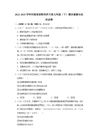 河南省洛阳市伊川县2022-2023学年七年级下学期7月期末道德与法治试题(含答案)