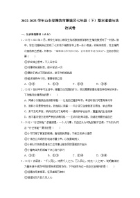 山东省潍坊市潍城区2022-2023学年七年级下学期期末道德与法治试卷（含答案）