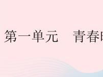 人教部编版七年级下册第一单元 青春时光第一课 青春的邀约悄悄变化的我作业课件ppt