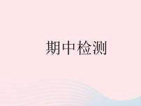 2023七年级道德与法治下学期期中检测作业课件新人教版