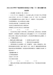 2022-2023学年广东省深圳市龙岗区八年级（下）期末道德与法治试卷（含解析）