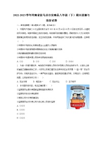 2022-2023学年河南省驻马店市汝南县八年级（下）期末道德与法治试卷（含解析）