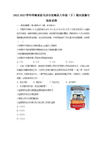 2022-2023学年河南省驻马店市汝南县八年级(下)期末道德与法治试卷(含解析)