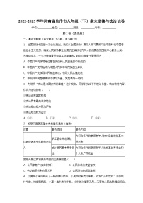 河南省焦作市2022-2023学年八年级下学期期末道德与法治试卷（含答案）