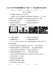 河南省濮阳市2022-2023学年八年级下学期期末道德与法治试卷(含答案)