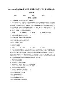 湖南省永州市新田县2022-2023学年八年级下学期期末道德与法治试卷(含答案)