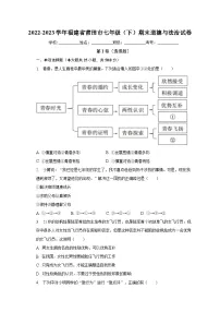 福建省莆田市2022-2023学年七年级下学期期末道德与法治试卷(含答案)