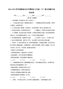 湖南省永州市零陵区2022-2023学年七年级下学期期末道德与法治试卷（含答案）