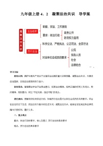 初中政治 (道德与法治)人教部编版九年级上册凝聚法治共识优秀学案