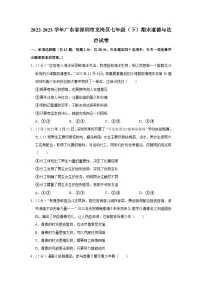 广东省深圳市龙岗区2022-2023学年七年级下学期期末道德与法治试卷(含答案)