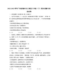 2022-2023学年广东省梅州市大埔县八年级（下）期末道德与法治试卷（含解析）