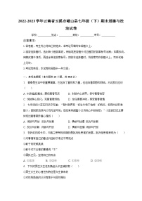 云南省玉溪市峨山县2022-2023学年七年级下学期期末道德与法治试卷