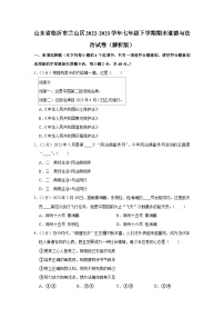 山东省临沂市兰山区2022-2023学年七年级下学期期末道德与法治试卷+