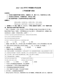 河南省平顶山市汝州市2022-2023学年八年级下学期期末道德与法治试题