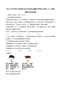 2022-2023学年广西桂林市灵川县灵川镇部分学校七年级（下）期末道德与法治试卷（含解析）