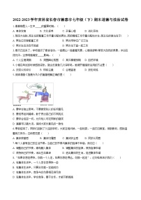 2022-2023学年吉林省长春市德惠市七年级（下）期末道德与法治试卷(含答案解析)