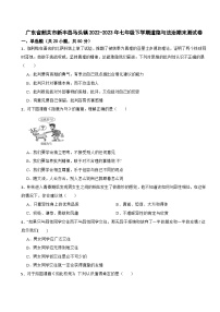 广东省韶关市新丰县马头镇2022-2023年七年级下学期道德与法治期末测试卷