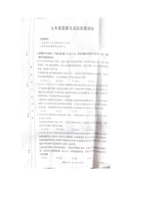 河南省信阳市平桥区2023-2024学年九年级上学期11月期中道德与法治试题