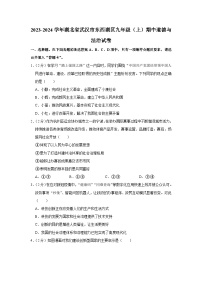 湖北省武汉市东西湖区2023-2024学年九年级上学期期中道德与法治试卷