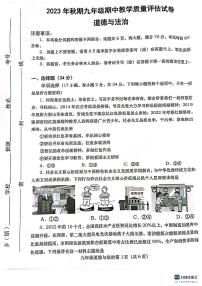 河南省南阳市社旗县2023-2024学年九年级上学期11月期中道德与法治试题
