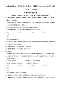 湖南省长沙市雅礼教育集团 2023-2024学年九年级上学期期中考试道德与法治试题（解析版）