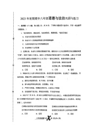 河南省南阳市内乡县2023-2024学年八年级上学期11月期中道德与法治试题