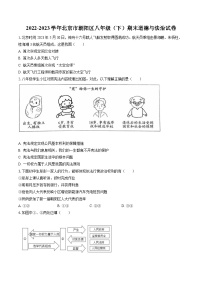 2022-2023学年北京市朝阳区八年级（下）期末道德与法治试卷（含答案解析）