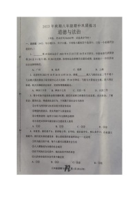 河南省南阳市南召县2023-2024学年八年级上学期11月期中道德与法治试题