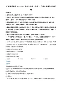 广东省英德市2023-2024学年九年级上学期11月期中道德与法治试题（解析版）