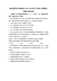 湖北省武汉市东西湖区2023-2024学年九年级上学期期中道德与法治试卷（含解析）