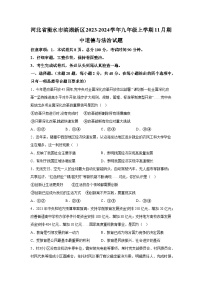 河北省衡水市滨湖新区2023-2024学年九年级上学期11月期中道德与法治试题（含解析）